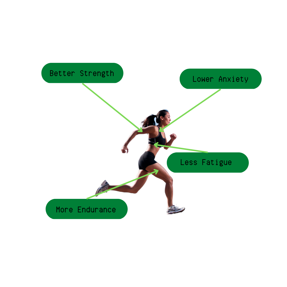 E2H Runner (1000 × 1000 px) (1) E2H Runner (1000 × 1000 px) (1)